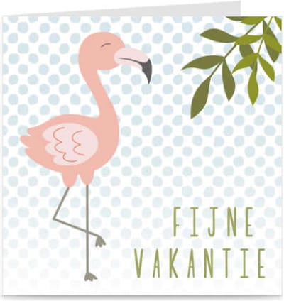 FIJNE VAKANTIE | kaart / wenskaart met envelop | Flamingo