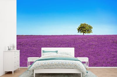 Behang - Fotobehang Boom - Paars - Lucht - Lavendel - Breedte 360 cm x hoogte 240 cm