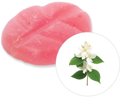 Scentchips® Jasmijn - Geurblokjes - Huisparfum - Geurchips - Waxmelts - Geschikt voor Geurbrander en Waxbrander - M - 13 Stuks