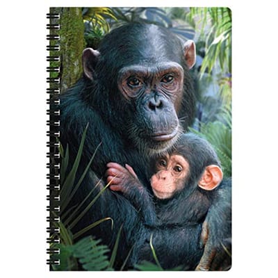3D Chimpansees A5 Notitieboekje - Levensechte Illustraties voor School en Kantoor
