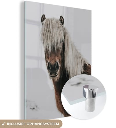 MuchoWow® Glasschilderij 120x160 cm - Schilderij acrylglas - Paarden - Dieren - Portret - Bruin - Wit - Foto op glas - Schilderijen