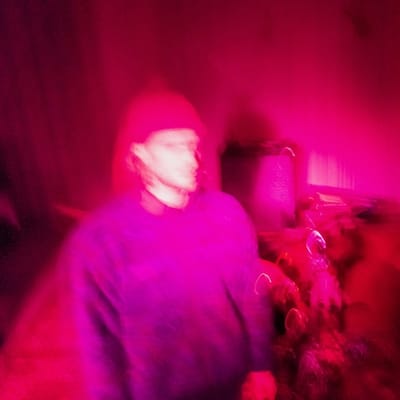 Fitzgeralnd, Paddy - Floot Bird (LP)