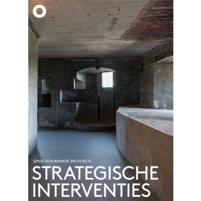 Strategische Interventies - Kirsten Hannema