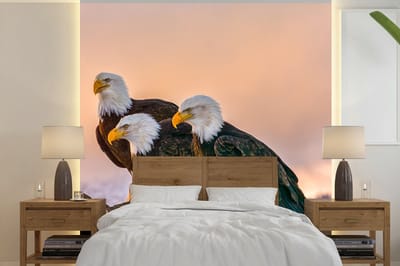 Behang - Fotobehang Vogels - Natuur - Roofvogels - Arend - Breedte 220 cm x hoogte 220 cm