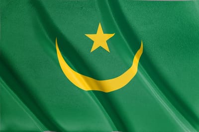 Vlag Mauritanië | Alle Afrikaanse vlaggen | 52 soorten vlaggen | 150x100cm