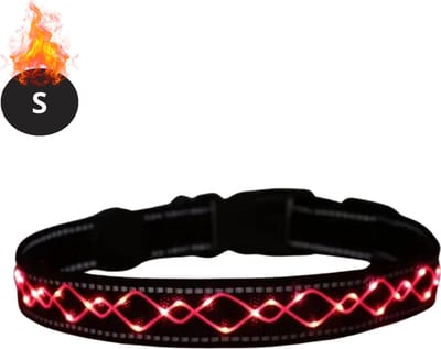 Bovista Lichtgevende Halsband - Verlichte Halsband - Lichtgevend - Hond - Kat - Lampje - Hondenhalsband Led - Oplaadbaar - Rood - S