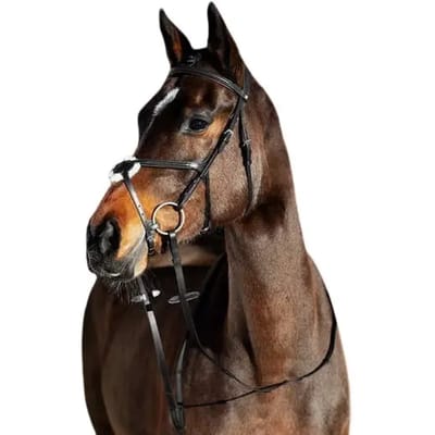 Horze Prescott Mexicaanse Neusriem Hoofdstel, Black, Vollblut
