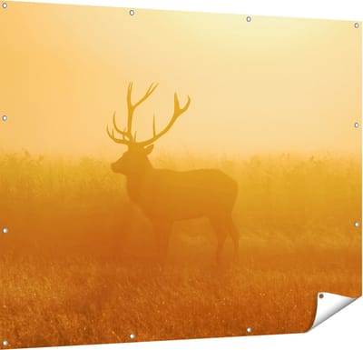 Gards Tuinposter Hert tijdens de Mist - 150x120 cm - Tuindoek - Tuindecoratie - Wanddecoratie buiten - Tuinschilderij