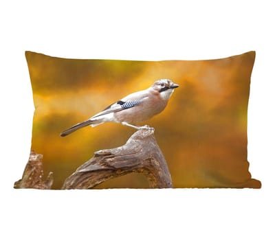Sierkussens - Kussentjes Woonkamer - 50x30 cm - Vogel - Tak - Vlaamse gaai
