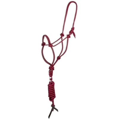 Halster en longe voor paard met knoop Pool's