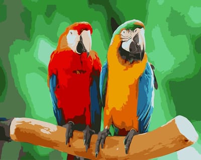 Schilderen op nummer 40x50 cm op frame - PBN-4003 - Ara's !!!! NU PROMOTIE !!!! Uw krijgt er een gratis schilder op nummer bij naar onze keuze
