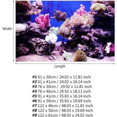 Affiche Corail Mer du Monde Adhésive Effet 3D pour Décoration d'Aquarium Type 3