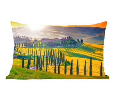 Sierkussens - Kussentjes Woonkamer - 50x30 cm - Gras - Zon - Heuvel - Landschap