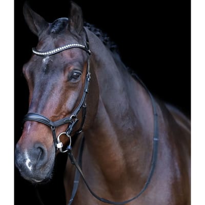 Hoofdstel HV Polo Legacy Anatomique Deluxe