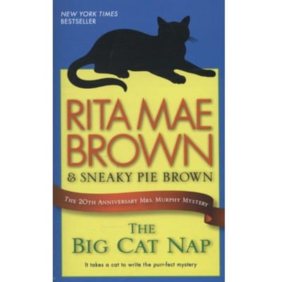 The Big Cat Nap - Brown, Rita Mae