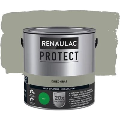 Renaulac Protect Muurverf - Mat - Dried Grass - 2,5l