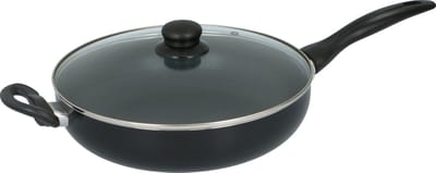 Alpina Koekenpan - 28cm - met Glazen Deksel - Anti-Aanbaklaag - Alle Warmtebronnen - Aluminium/ Glas