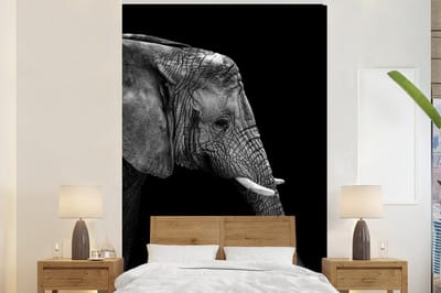 Behang - Fotobehang Olifant - Zwart wit - Portret - Dieren - Breedte 155 cm x hoogte 240 cm