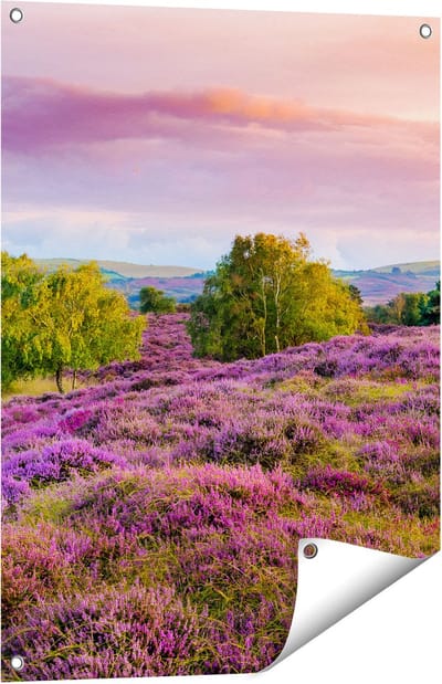Gards Tuinposter Paarse Weide - 60x80 cm - Tuindoek - Tuindecoratie - Wanddecoratie buiten - Tuinschilderij