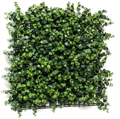 Emerald - Kunst Plantenwand Eucalyptus UV 50x50cm - Kunstplant voor binnen