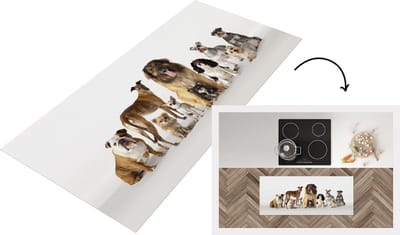 Keukenloper - Loper keuken - Groeps honden - 120x50 cm - Keukenloper vinyl