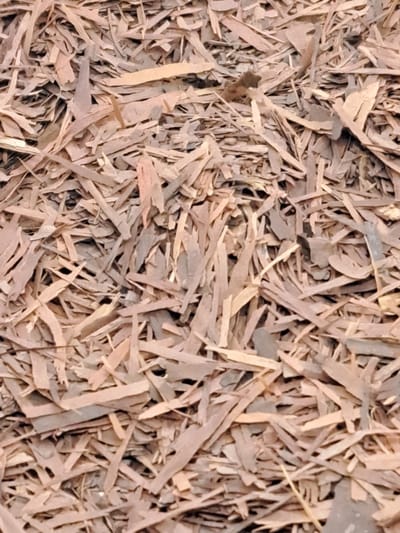 Lapacho (Tabebuia impetiginosa)75g ook bekend als Pau d’Arco of levensboom