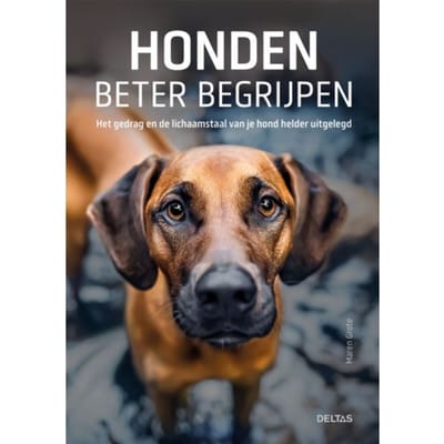 Honden Beter Begrijpen