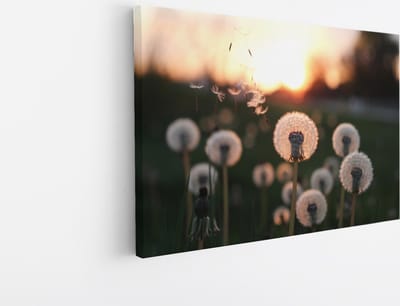 Saammp Canvas Schilderij - dandelion in zonsopgang - Natuur - 45x30 - Foto op canvas - Wanddecoratie - Muurdecoratie Woonkamer - Kantoor Decoratie