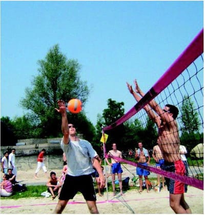 Tom Beachvolleybalnet Recreatie Zwart/roze850 X 100 Cm