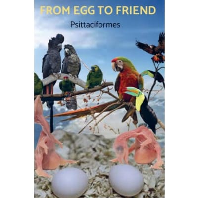From Egg To Friend: Psittaciformes - From egg to friend