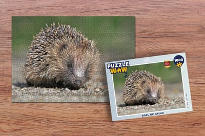 Puzzel Egel op grind - Legpuzzel - Puzzel 1000 stukjes volwassenen
