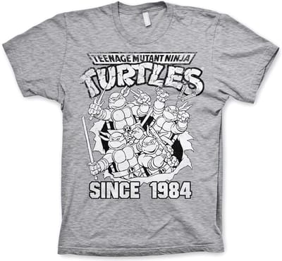 Teenage Mutant Ninja Turtles TMNT Distressed Since 1984 T-shirt, heathergrijs