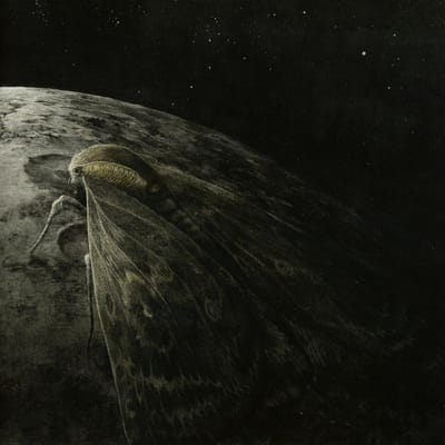 Augrimmer - Moth And The Moon (CD)