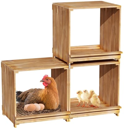 BingoPaw Kippen Nestkast 3-delig – Legnest voor Hennen & Eenden – Ademend Koolteak Hout – Stapelbaar & Uitbreidbaar – 35×30×36cm per vak