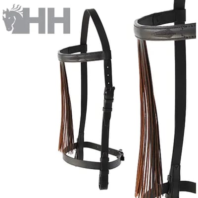 Rijhalster Hispano Hipica Vaquera