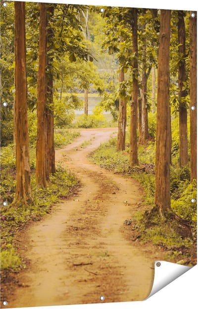 Gards Tuinposter Pad in het Bos met Bomen - 90x120 cm - Tuindoek - Tuindecoratie - Wanddecoratie buiten - Tuinschilderij