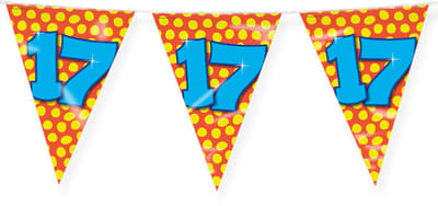 LUQ – Vlaggenlijn Happy Party 17 Jaar – Veelkleurig – 10 m Luxe Verjaardag Feest Versiering – Slinger – Direct Ophangen