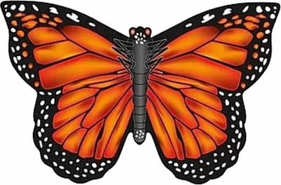 BBIZZ Vlieger vlinder - oranje - B71 cm - nylon