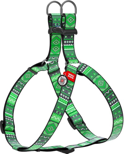 WAUDOG Ethno Harnas / Hondentuigje - Nylon - Groen - Gratis QR Tag - Breedte: 15 mm - Borstomtrek: 40 - 55 cm (GELIEVE ALVORENS BESTELLEN OPMETEN)