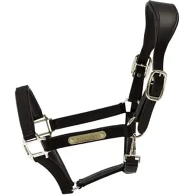 Kentucky Horsewear - Anatomisch Halster -Zwart - Nylon - Maat Full