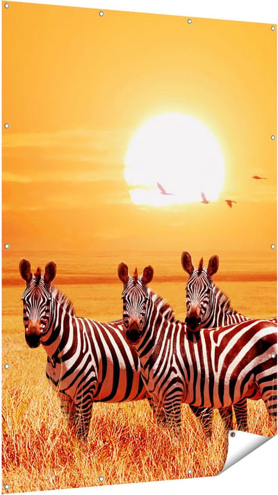 Gards Tuinposter Drie Zebra's bij Zonsondergang - 120x180 cm - Tuindoek - Tuindecoratie - Wanddecoratie buiten - Tuinschilderij