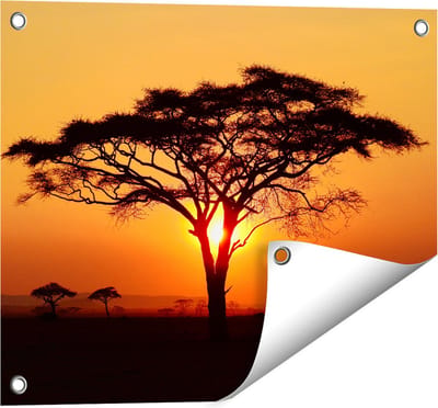 Gards Tuinposter Zonsondergang Achter een Savanne Boom - 50x40 cm - Tuindoek - Tuindecoratie - Wanddecoratie buiten - Tuinschilderij