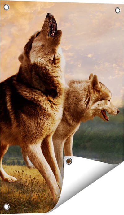 Gards Tuinposter Twee Wolven op het Gras - 40x60 cm - Tuindoek - Tuindecoratie - Wanddecoratie buiten - Tuinschilderij