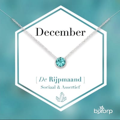 Bixorp Geboortesteen Ketting December - Zilverkleurig Roestvrij Staal met Zirkonia Hanger - Stainless Steel - Tanzaniet