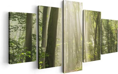 Artaza Canvas Schilderij Vijfluik Bos Met Bomen En Zonneschijn - 100x50 - Foto Op Canvas - Canvas Print