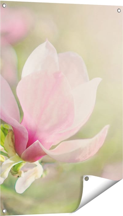 Gards Tuinposter Roze Magnolia Bloem - 60x90 cm - Tuindoek - Tuindecoratie - Wanddecoratie buiten - Tuinschilderij