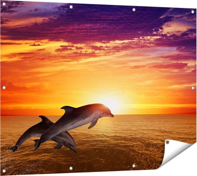 Gards Tuinposter Twee Dolfijnen bij de Zonsondergang - 120x90 cm - Tuindoek - Tuindecoratie - Wanddecoratie buiten - Tuinschilderij