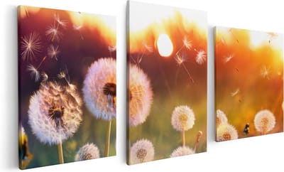 Artaza Canvas Schilderij Drieluik Paardenbloemen Tijdens Zonsondergang - 120x60 - Foto Op Canvas - Canvas Print