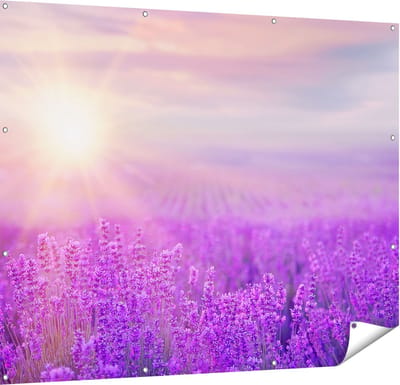 Gards Tuinposter Bloemenveld met Paarse Lavendel - 150x120 cm - Tuindoek - Tuindecoratie - Wanddecoratie buiten - Tuinschilderij
