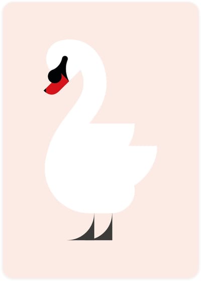 Eendje - 4x leuke wenskaarten - kaarten om te versturen - kaartenset - kaart met Knobbelzwaan - vier kaarten met vogels